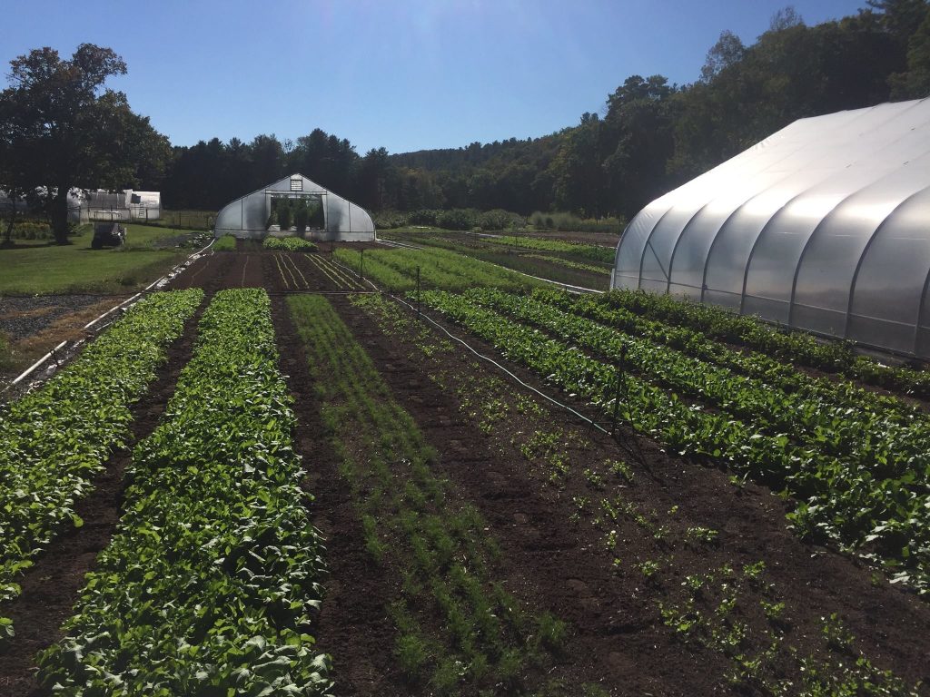 The Five Things That Made My Farm More Profitable and More Enjoyable